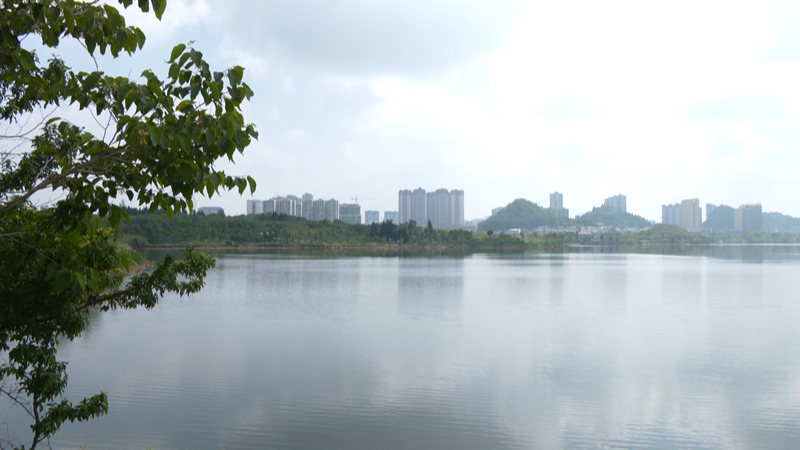 安順經開區楊湖環境。