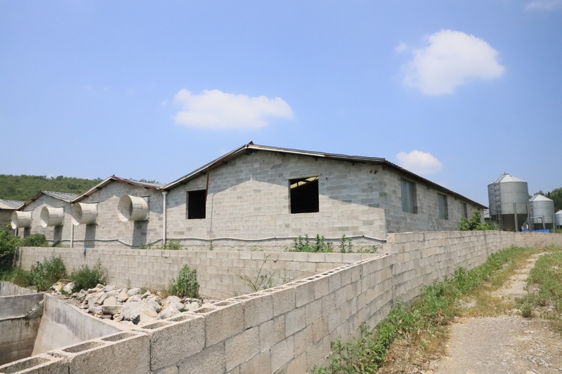 六桶鎮變廢為寶推進種養循環。李虹億攝