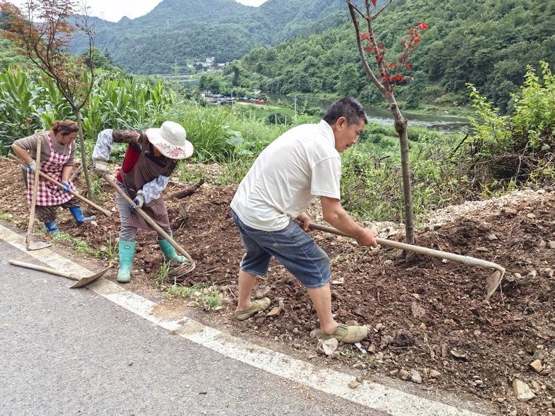 沙溪村村民在填埋飲水管道。