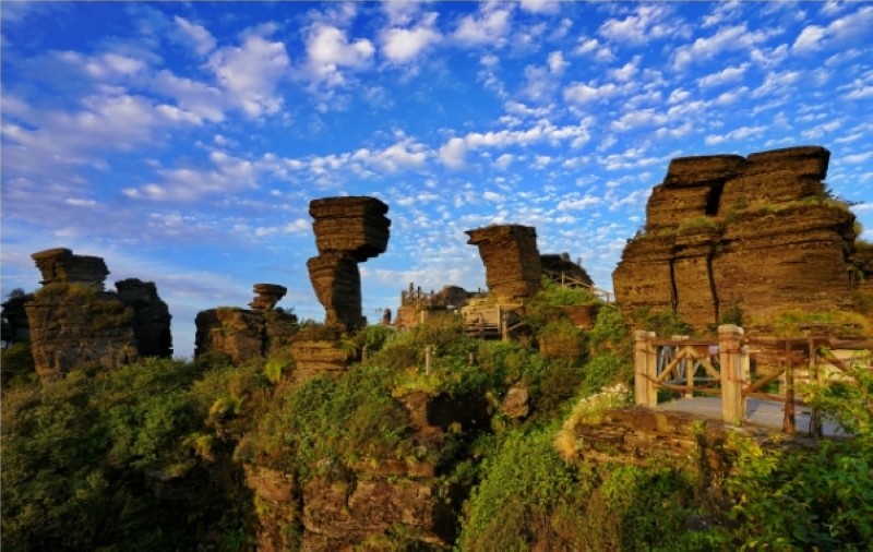 梵凈山層疊的板巖里藏著14億年的風雨。田珊珊攝