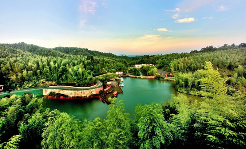 赤水竹海國家森林公園。王茂祥攝