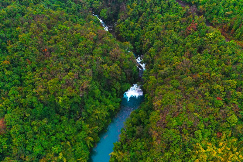 航拍茂蘭保護區。柏祥意攝