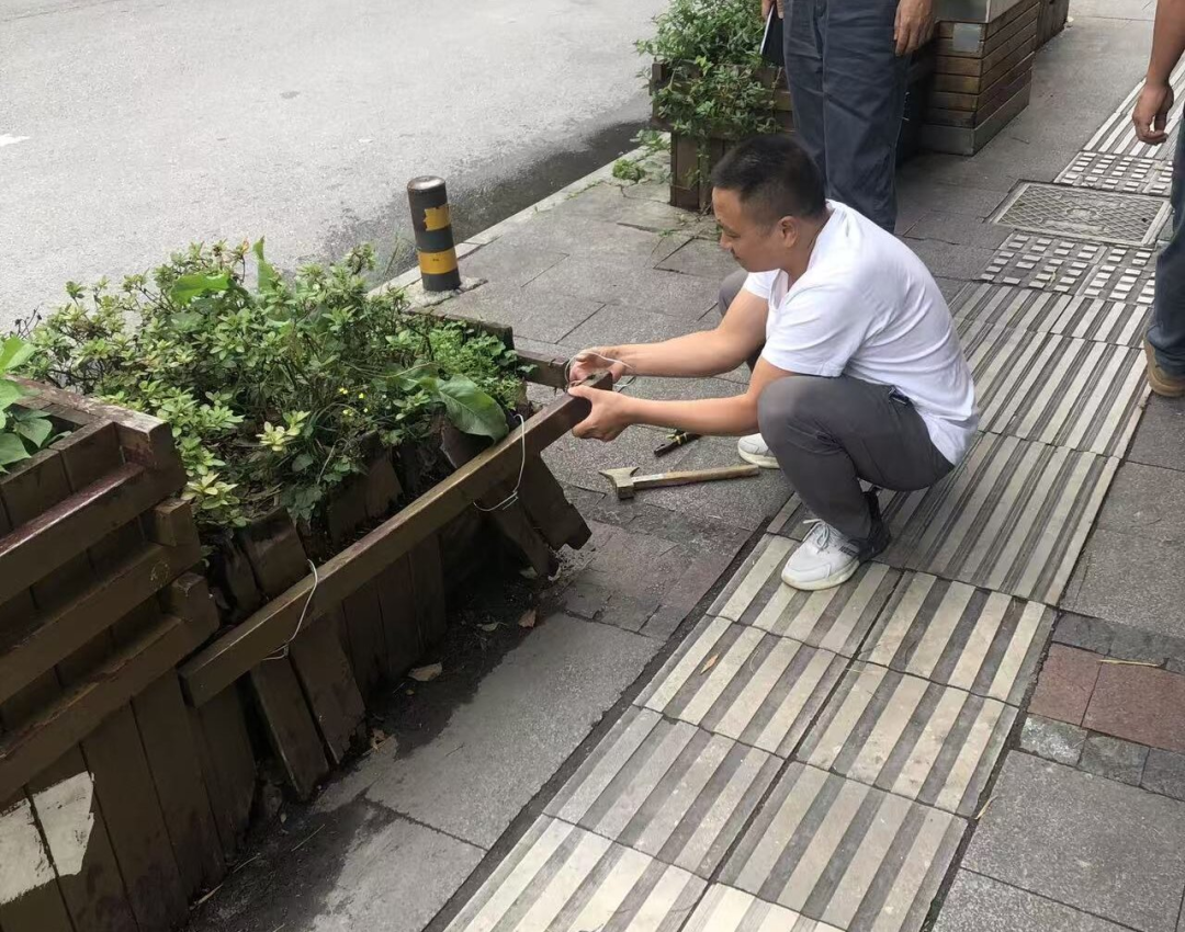 西秀區園林局消除安全隱患 提升城市品質。