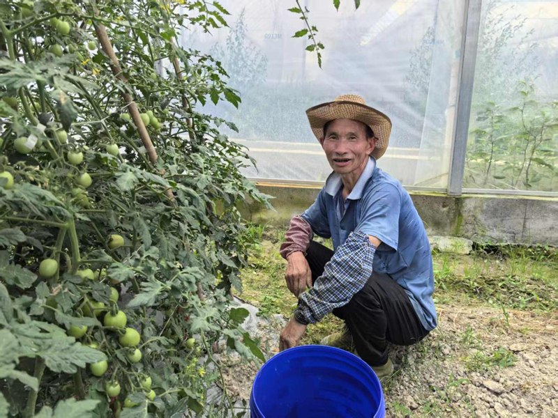 在基地里務工的劉大叔。