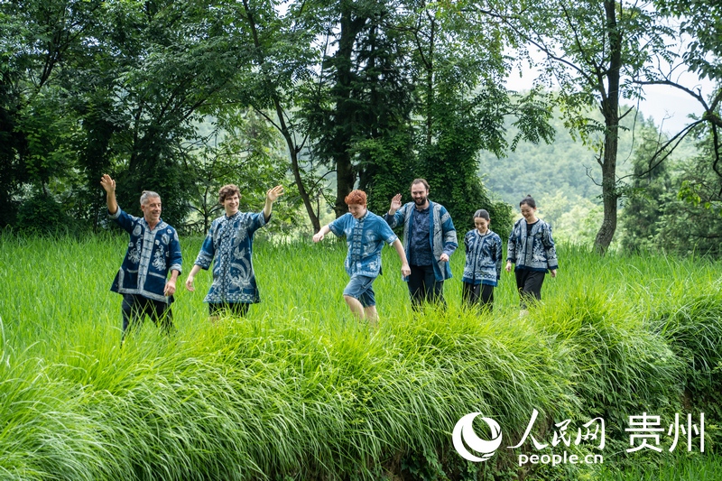 歐洲音樂家換上扎染民族服飾，漫步鄉野稻田。人民網 陽茜攝