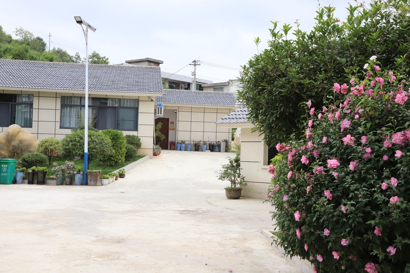 幸福村民宿外部環境。