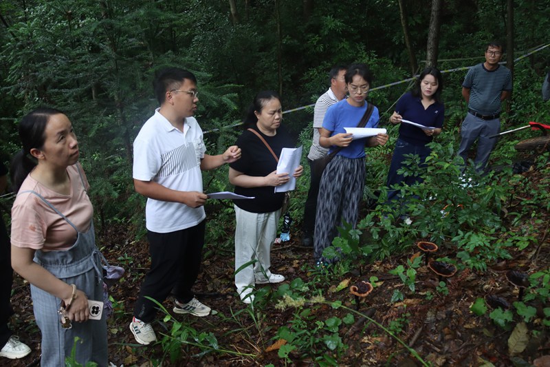 專家正對示范種植基地進行測產。