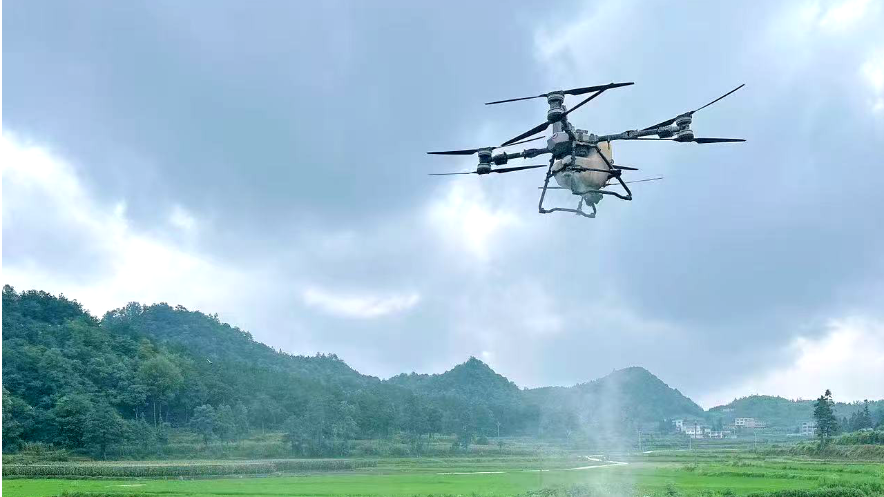 無人機噴灑藥物。