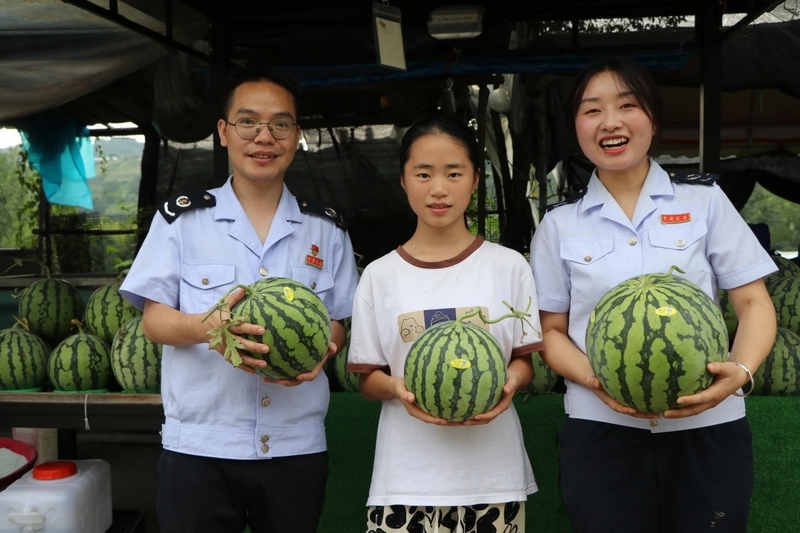 引導合規經營 助力麒麟瓜產業年產值破千萬。
