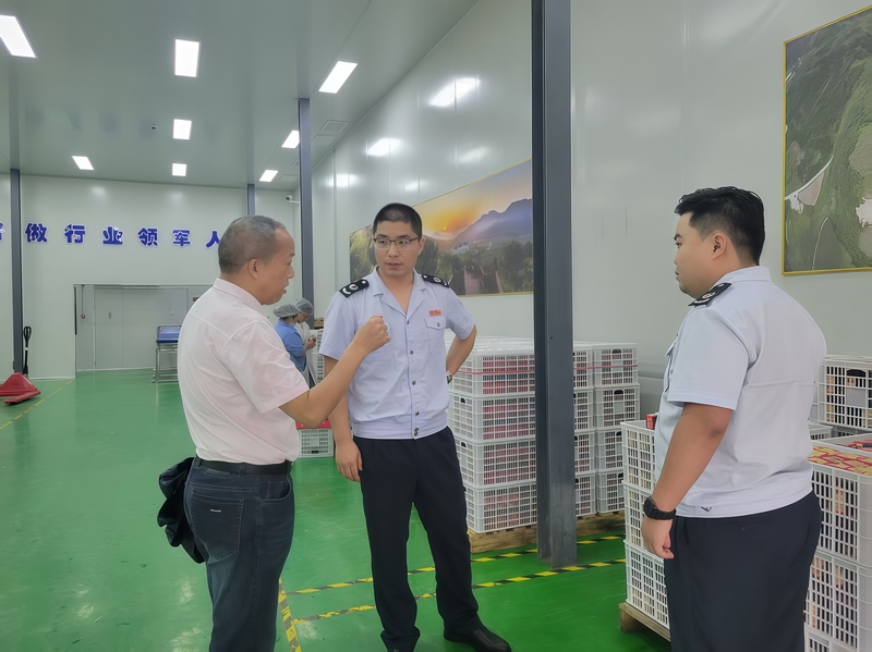 藍莓稅管家”團隊到貴州藍莓印象產業發展有限公司了解生產具體情況并進行輔導。劉盛琦攝