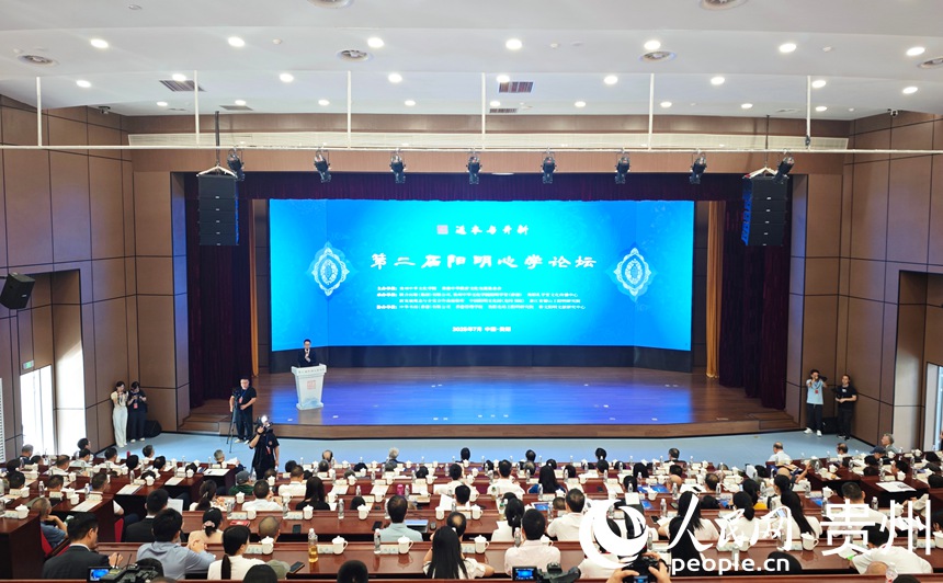 論壇現場。人民網 龍章榆攝