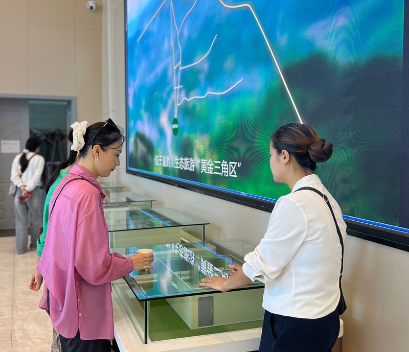 金蘭鳳凰度假區內，導游為游客做講解。任思宇攝