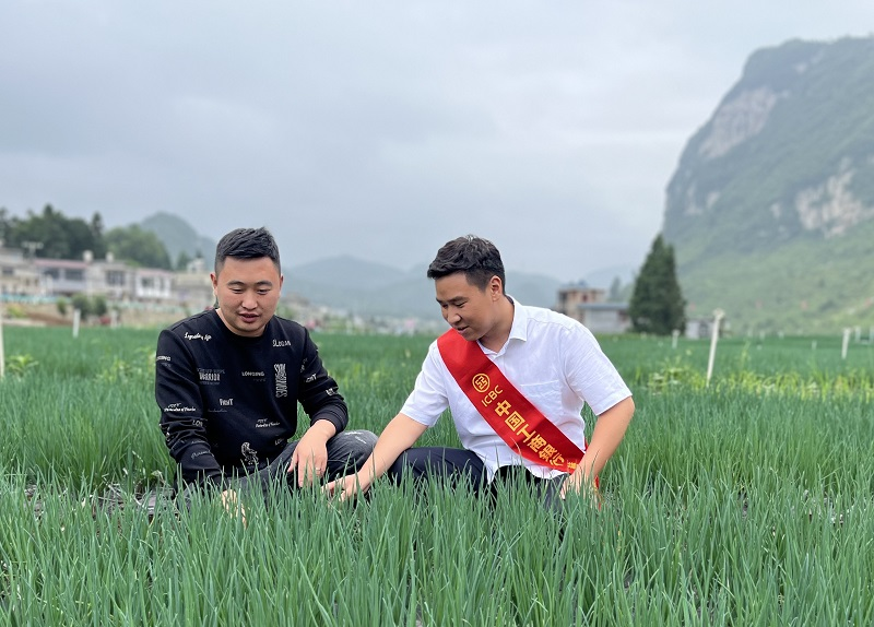 畢節分行到萬畝香蔥基地了解種植戶需求、基地規模和產能。