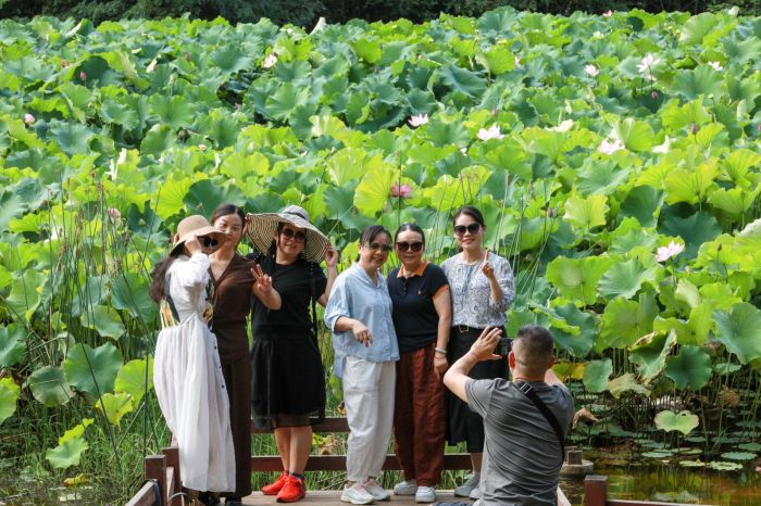 荷花吸引了眾多市民打卡。.jpg