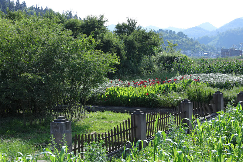 小吉場鎮新倫村污水處理終端 廖槐花 攝