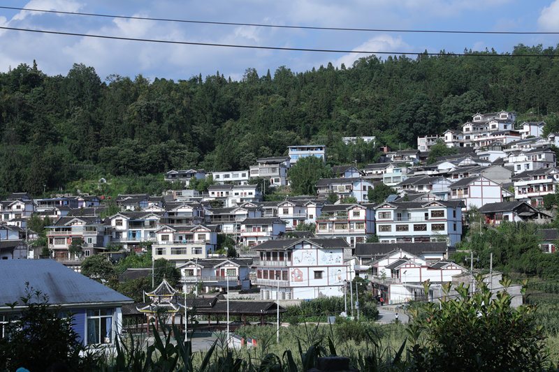 小吉場鎮新倫村白墻小青瓦民居錯落有致。廖槐花攝