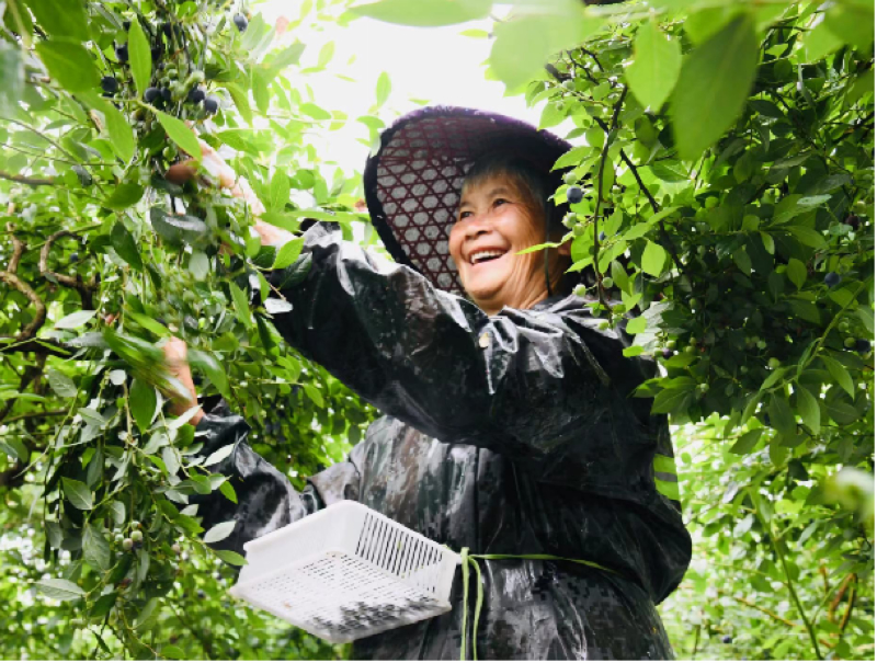 豐收的喜悅。