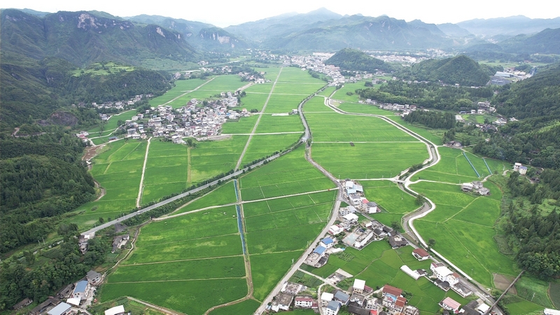 松桃烏羅鎮：田疇沃野展新姿 萬畝機械新“稻”路。