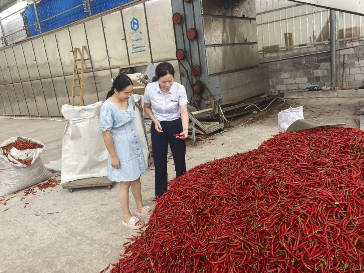 銀行工作人員到企業了解情況。