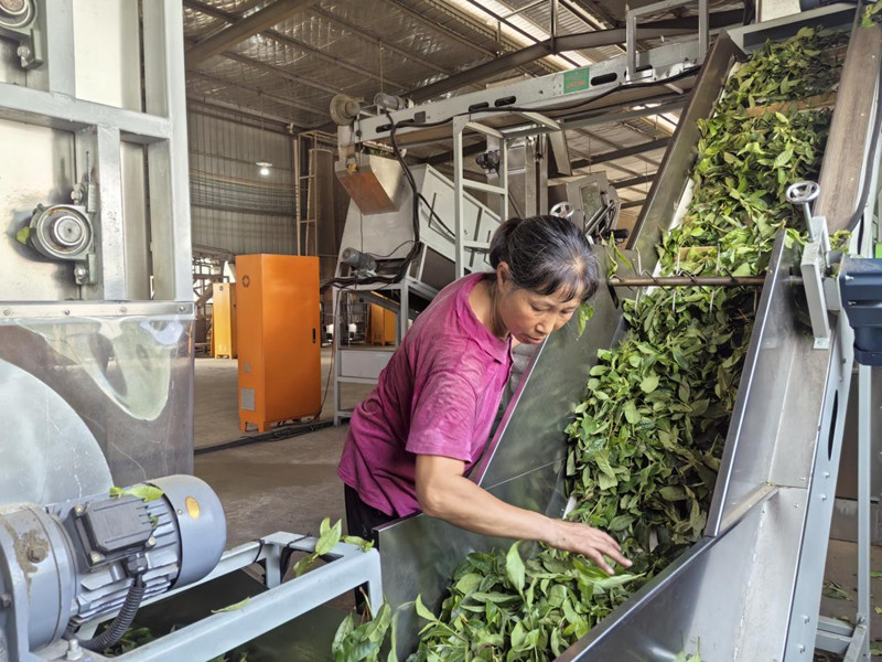 印江深入踐行“兩山論”鋪就綠色發展坦途。