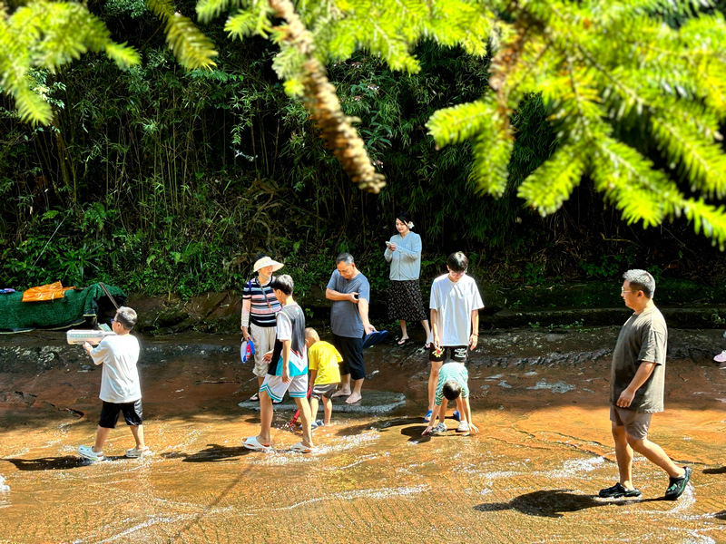 親子踏水嬉戲，暢享天然清涼。江勇攝