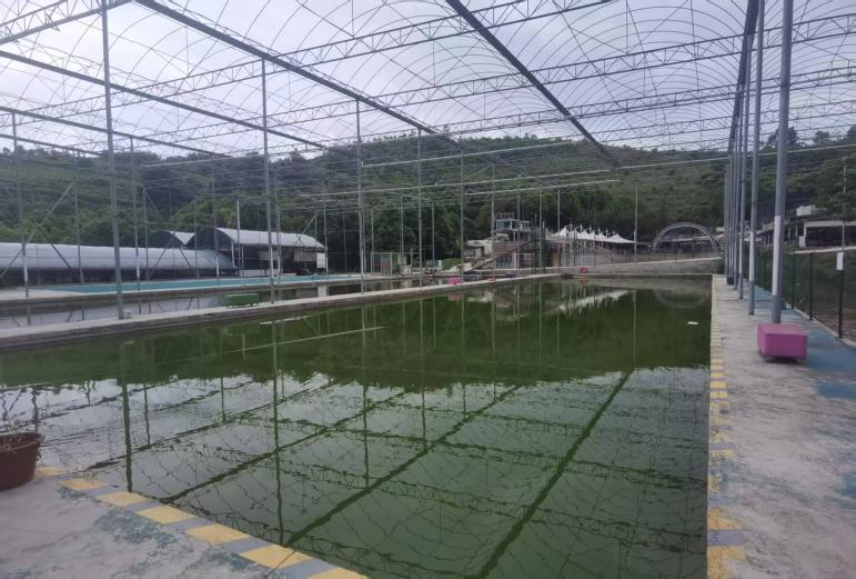 該企業打造的生態釣魚塘場景之一。