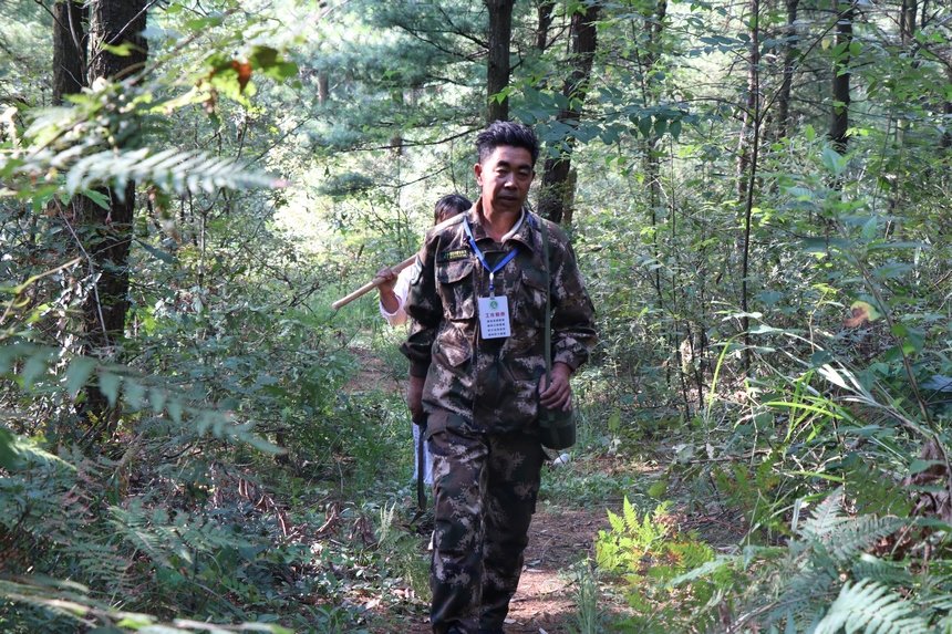 翟思平正在開展巡林工作。張雪建攝