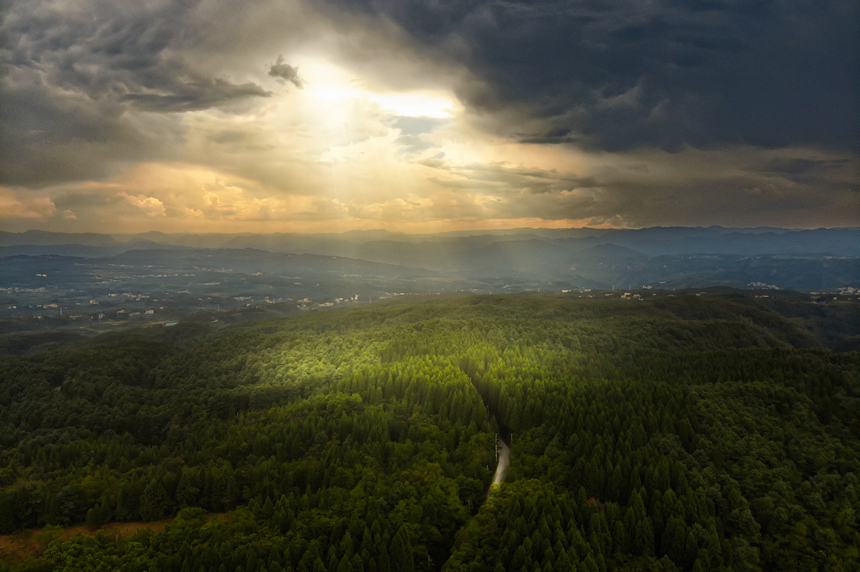 七星關區拱攏坪林場。文杰攝