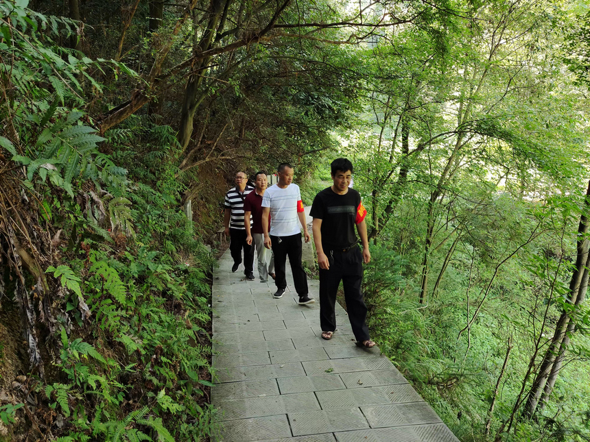 林業干部到南泉山開展巡林護林。