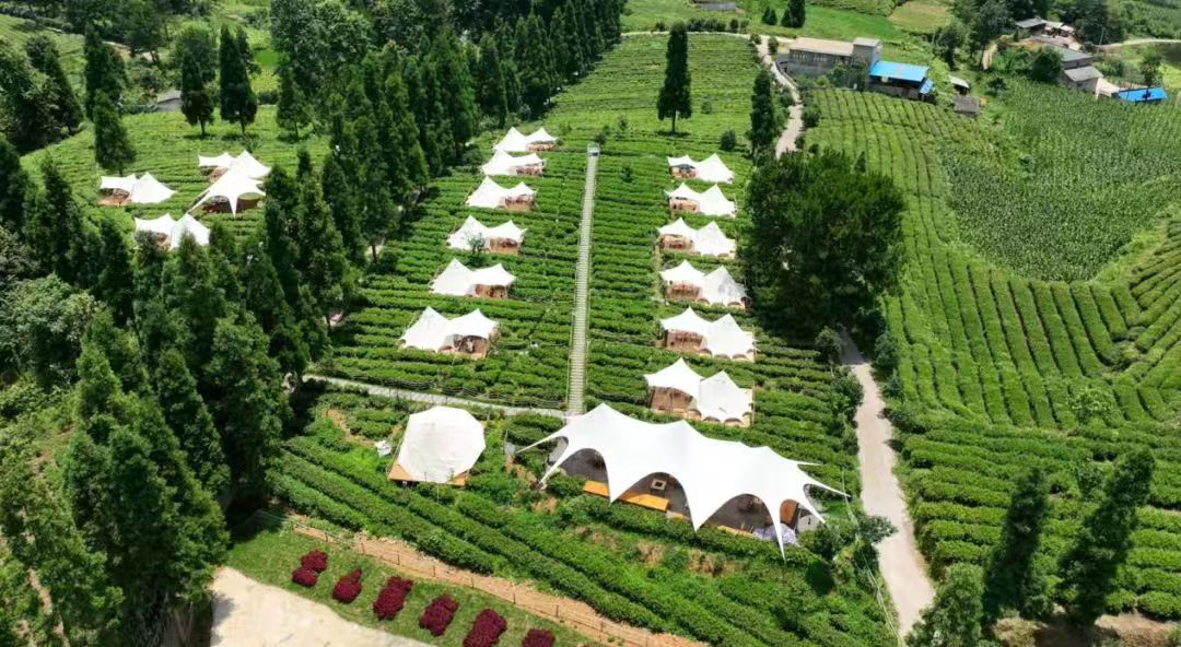 云山茶海露營基地。