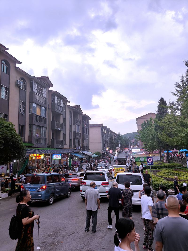 所到之處，皆是車流人流的仙源街道。姚瑤 攝