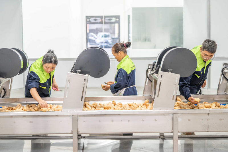 工人正在生產線上作業。