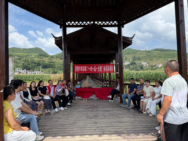 暗流鎮召開“一村一品一主播”動員部署會暨選品會。  張弘揚 攝.jpg