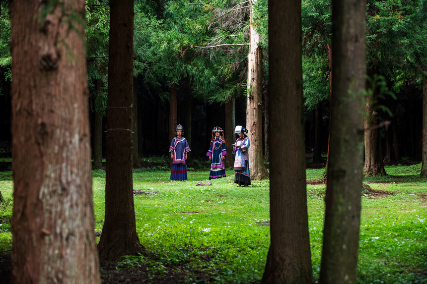 《清新雨奪箐》。肖本祥攝