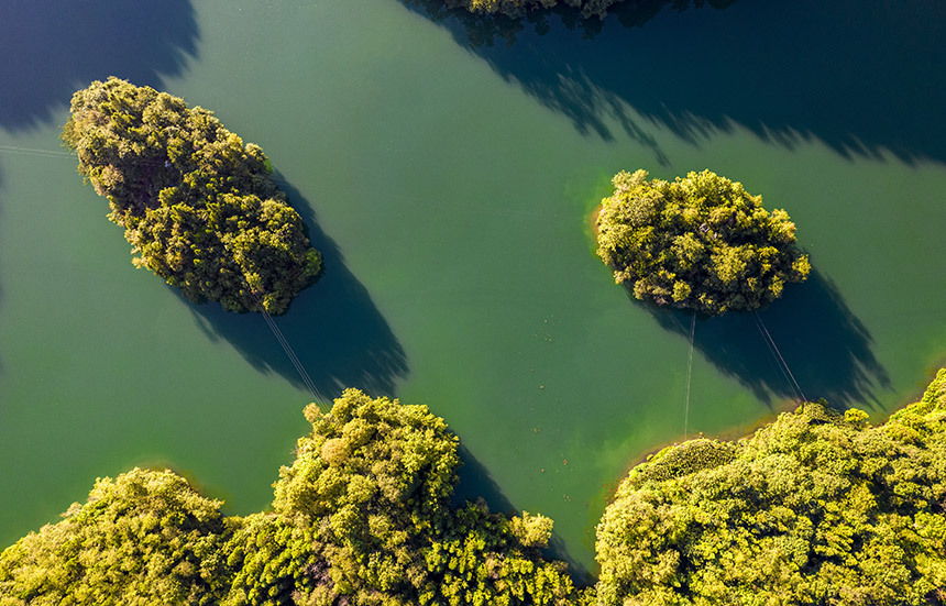 2025年8月14日航拍的貴州省畢節市百里杜鵑管理區境內的百里杜鵑湖。 