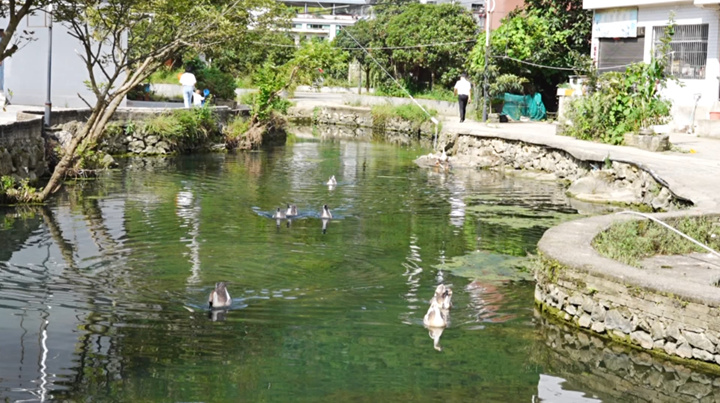 涼爽氣候下的旅居養老新熱潮。