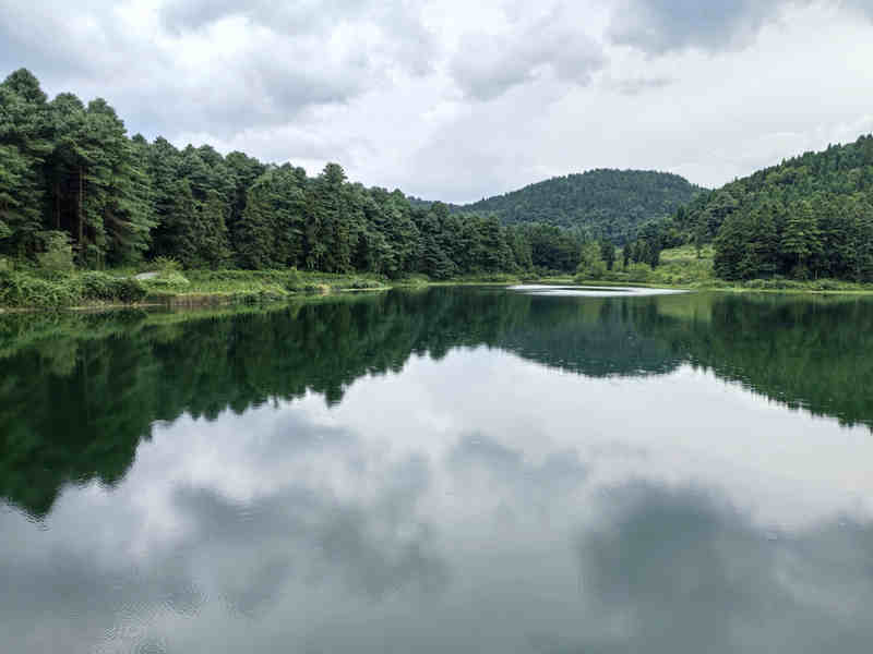 林區周邊水庫。郭羽嬋攝