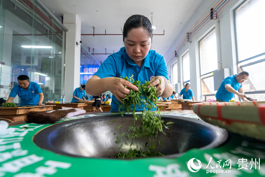 手工綠茶加工比賽現場。人民網記者 涂敏攝