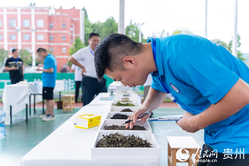 評茶師比賽現場。人民網記者 涂敏攝
