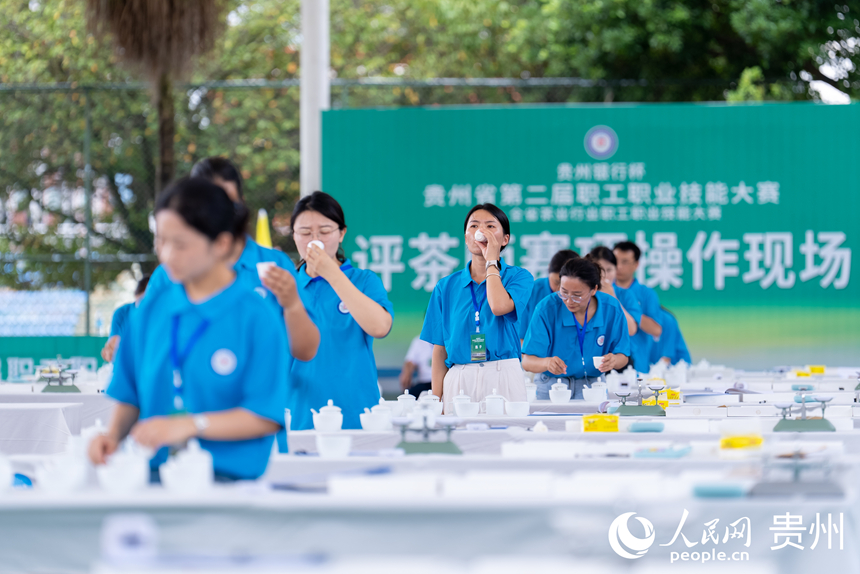評茶師比賽現場。人民網記者 涂敏攝