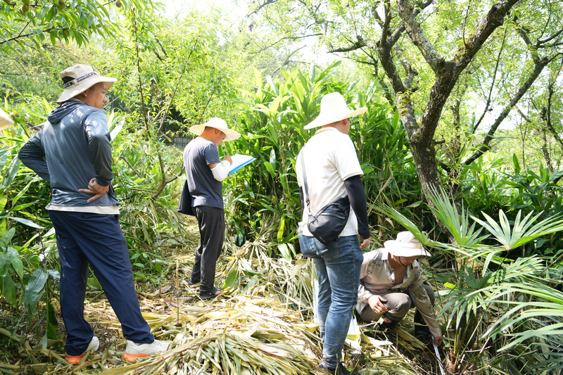 工作中的草帽電力人。
