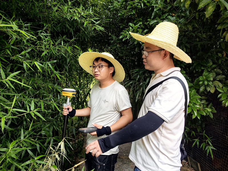 工作中的草帽電力人。