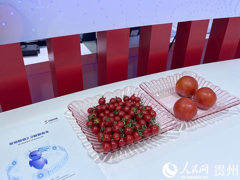 安恒信息展示的“科技果”。人民網 陳潔泉攝
