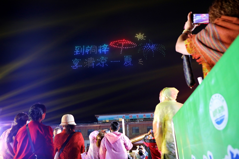 無人機表演。 陳桂良攝.JPG