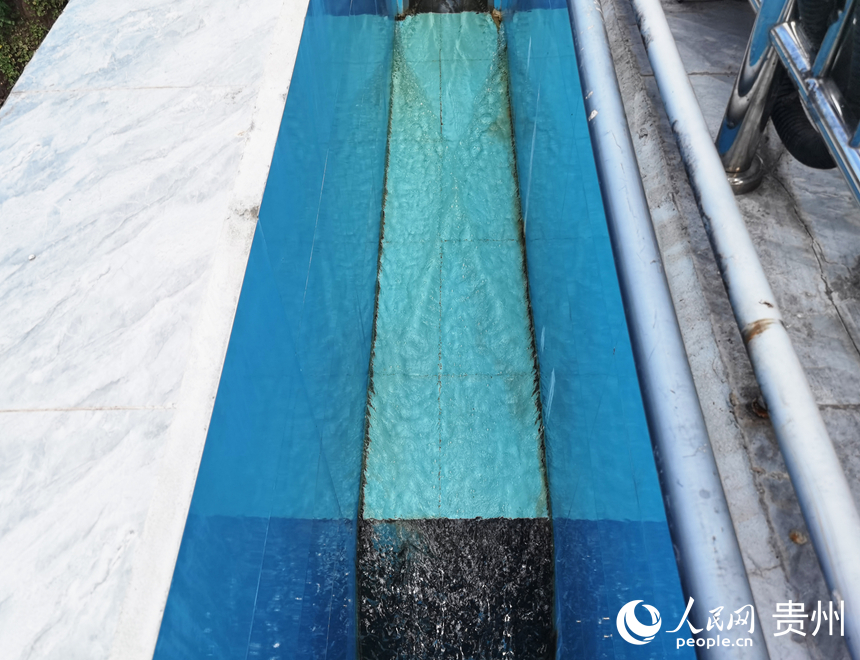 蘭家灣白酒廢水處理廠出水口處。人民網記者 王秀芳攝