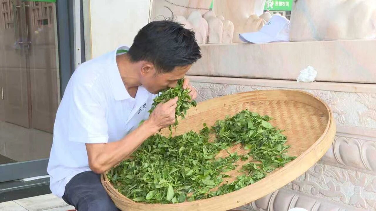 圖為活動現場。