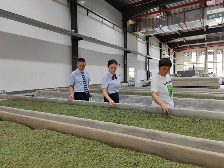 郵儲銀行工作人員走進某茶葉加工廠了解生產情況。