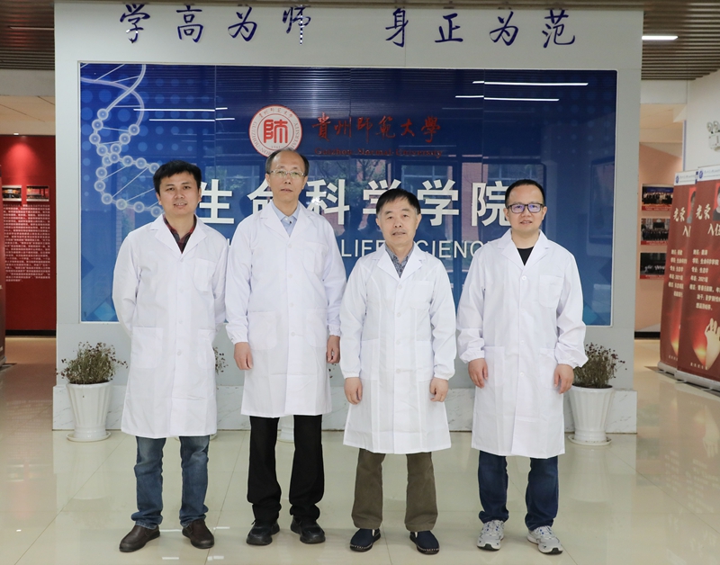 武漢大學幫扶貴州師范大學生物學團隊成員，右二為孫蒙祥教授。