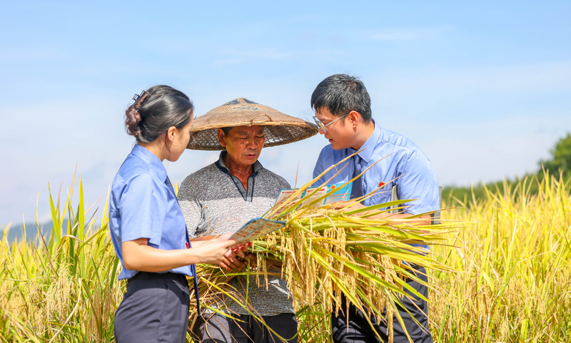 2025年9月4日，檢察干警在貴州省銅仁市玉屏侗族自治縣亞魚鄉郭家灣村向農戶宣傳防范電詐、民法典等法律知識。