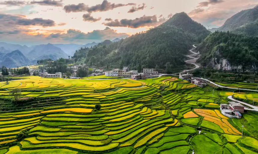 臘利梯田。尹剛攝